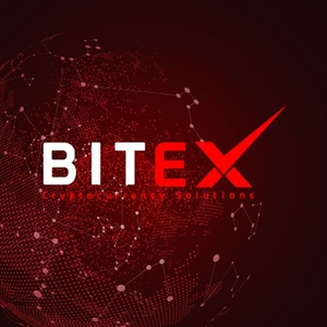 Bitex Global XBX Coin 